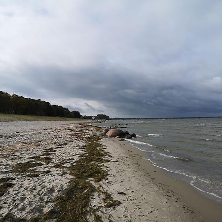 Ferienwohnungen "Weitblick" Und "Schwalbennest" Lodmannshagen الغرفة الصورة