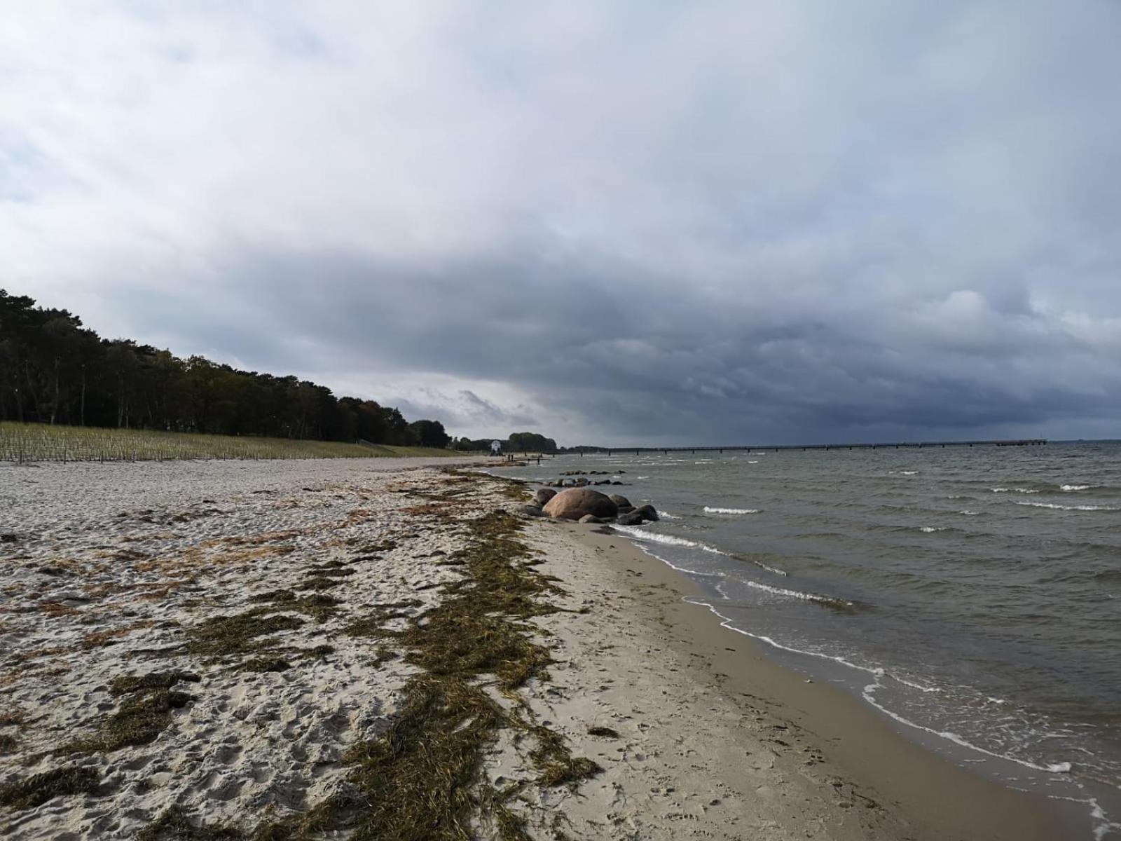 Ferienwohnungen "Weitblick" Und "Schwalbennest" Lodmannshagen الغرفة الصورة