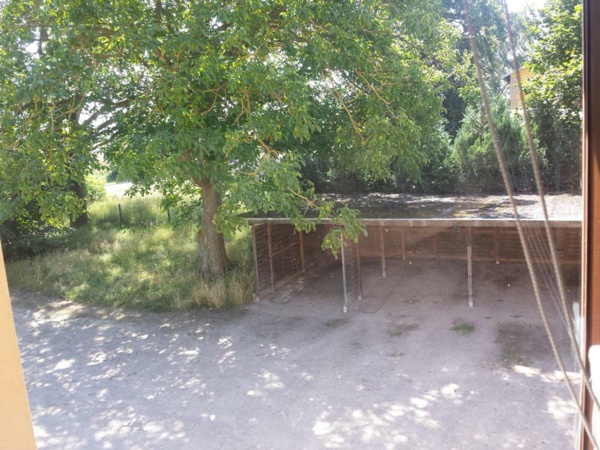 Ferienwohnungen "Weitblick" Und "Schwalbennest" Lodmannshagen المظهر الخارجي الصورة